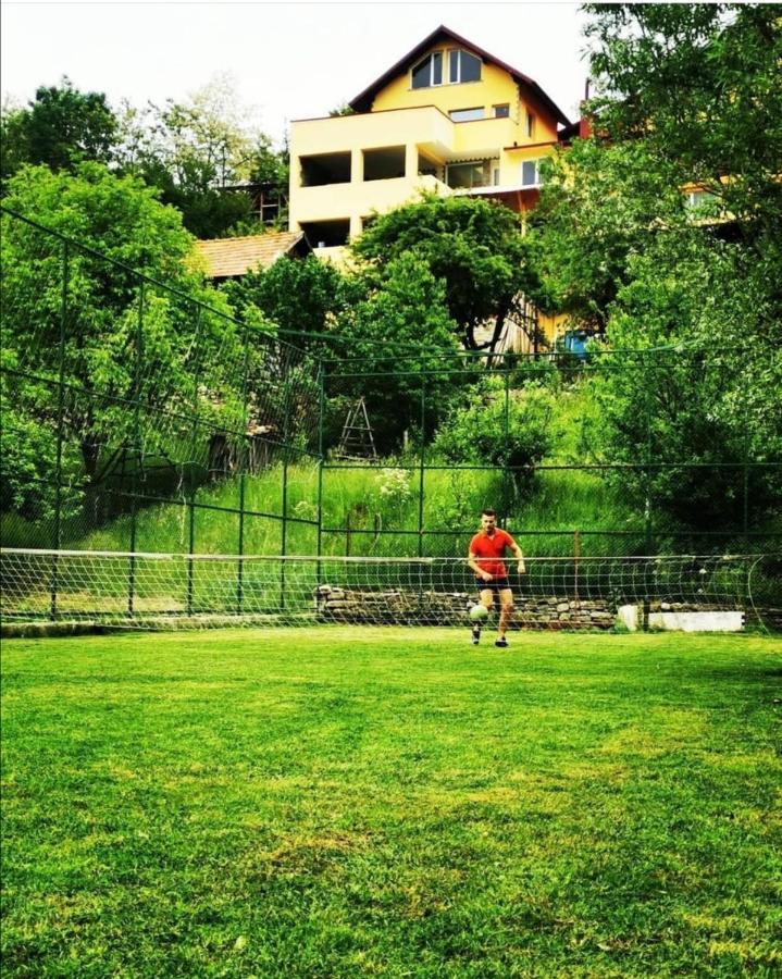 Doftana Apartaments Tesila Экстерьер фото