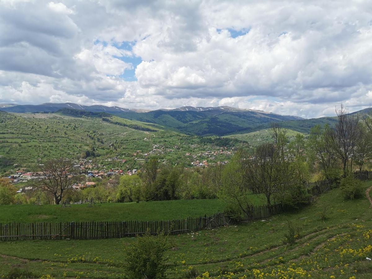 Doftana Apartaments Tesila Экстерьер фото