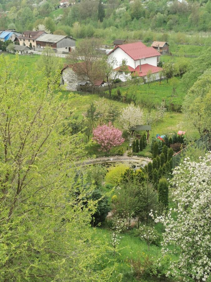 Doftana Apartaments Tesila Экстерьер фото