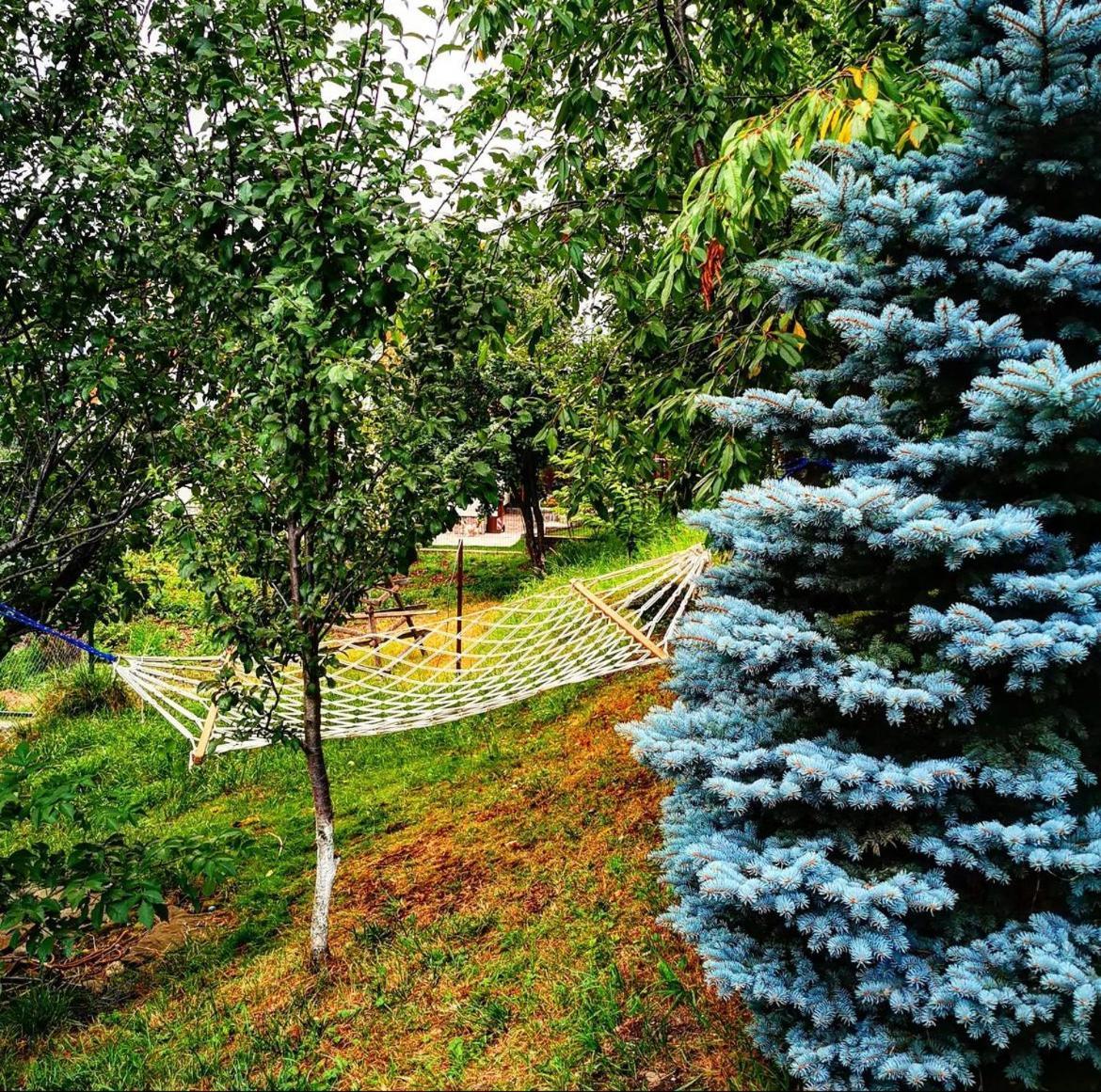 Doftana Apartaments Tesila Экстерьер фото