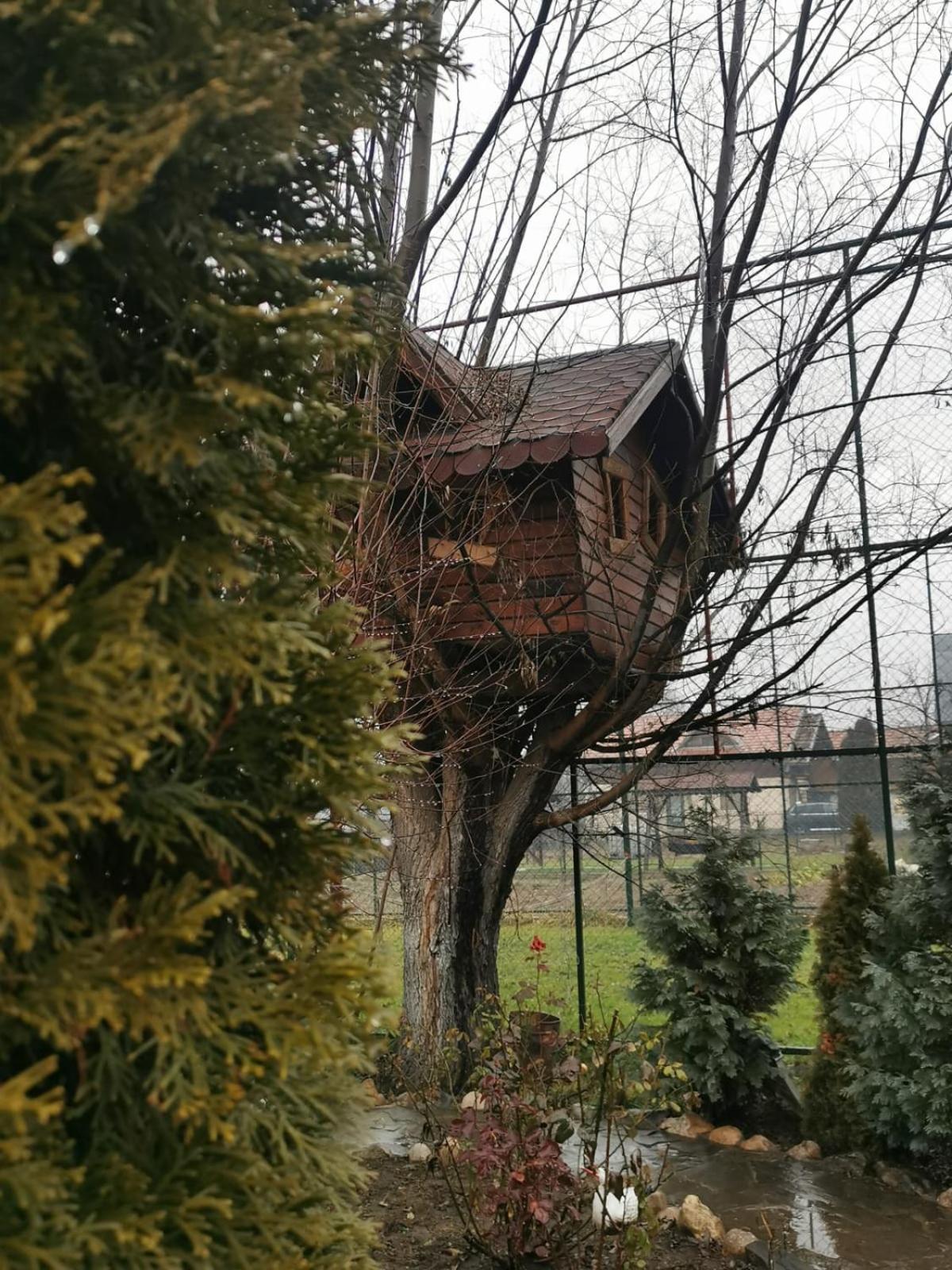 Doftana Apartaments Tesila Номер фото